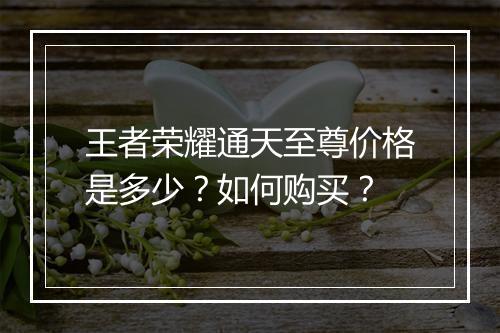 王者荣耀通天至尊价格是多少?如何购买?