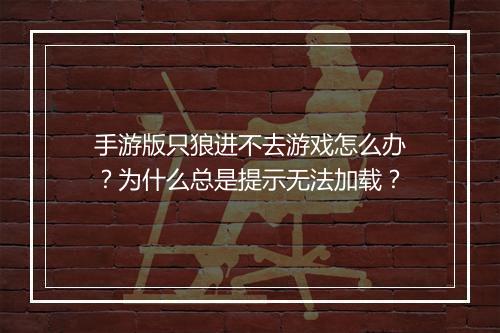 手游版只狼进不去游戏怎么办?为什么总是提示无法加载?