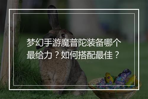 梦幻手游魔普陀装备哪个最给力?如何搭配最佳?